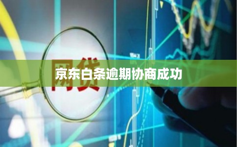京东白条逾期协商成功