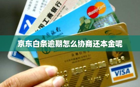 京东白条逾期怎么协商还本金呢