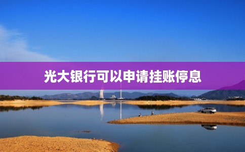 光大银行可以申请挂账停息