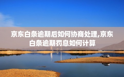 京东白条逾期后如何协商处理,京东白条逾期罚息如何计算