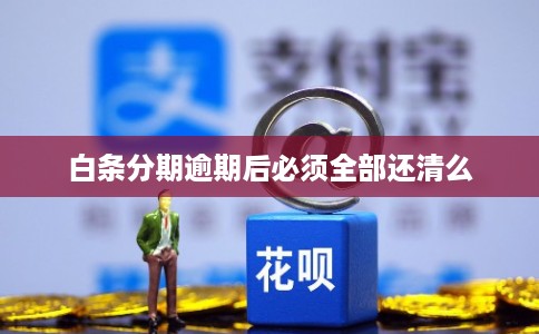 白条分期逾期后必须全部还清么