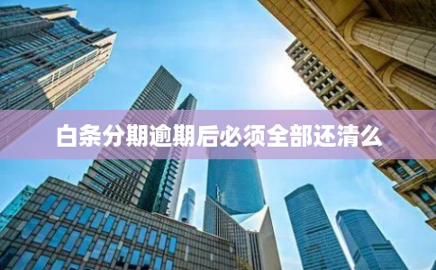 白条分期逾期后必须全部还清么