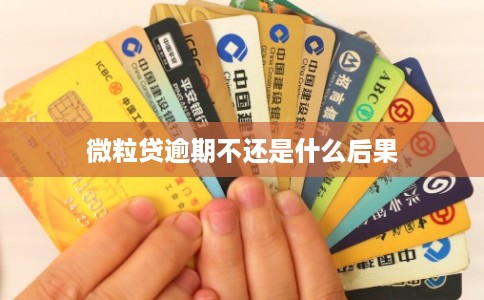 微粒贷逾期不还是什么后果