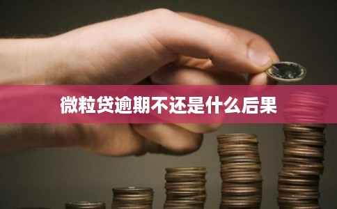微粒贷逾期不还是什么后果