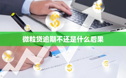 微粒贷逾期不还是什么后果