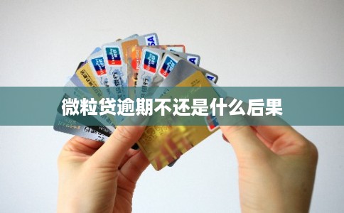 微粒贷逾期不还是什么后果