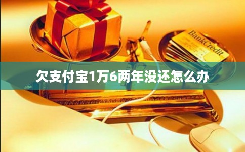 欠支付宝1万6两年没还怎么办
