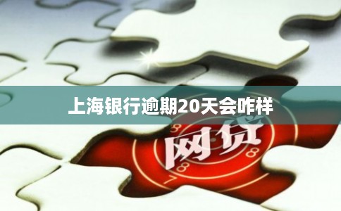 上海银行逾期20天会咋样