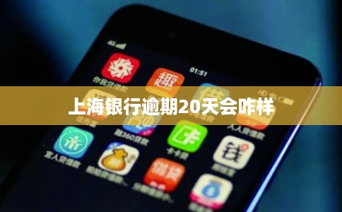 上海银行逾期20天会咋样