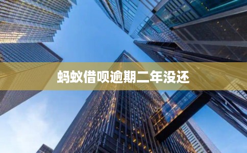 蚂蚁借呗逾期二年没还