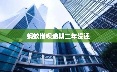 蚂蚁借呗逾期二年没还