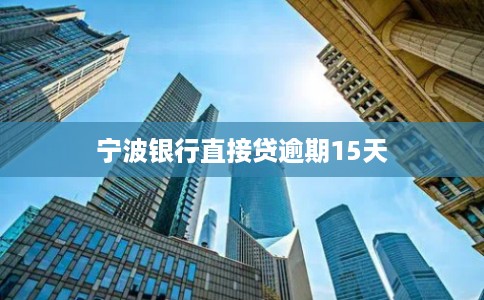 宁波银行直接贷逾期15天