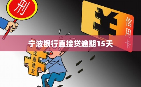 宁波银行直接贷逾期15天