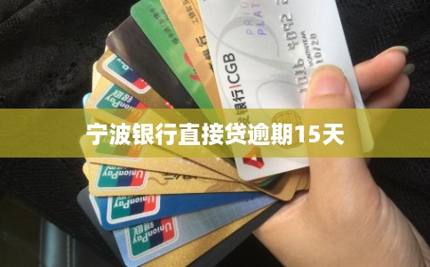 宁波银行直接贷逾期15天
