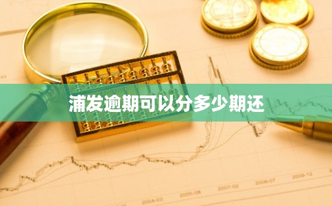 浦发逾期可以分多少期还