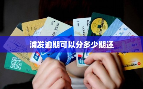 浦发逾期可以分多少期还