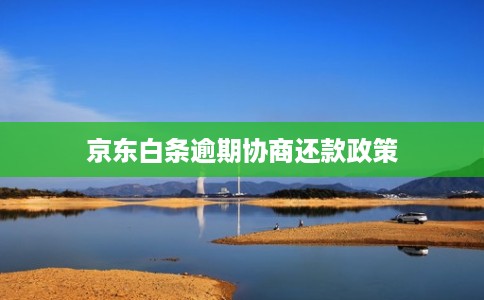 京东白条逾期协商还款政策