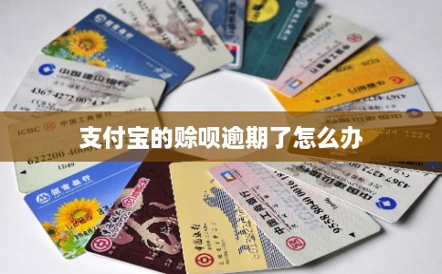 支付宝的赊呗逾期了怎么办