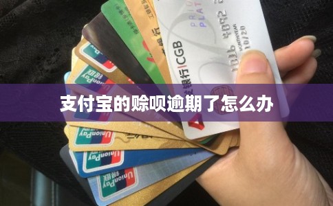 支付宝的赊呗逾期了怎么办