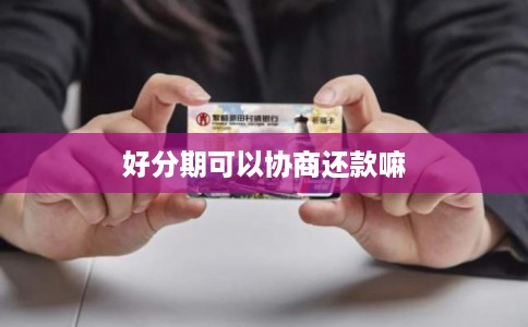 好分期可以协商还款嘛
