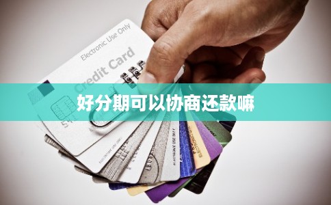 好分期可以协商还款嘛