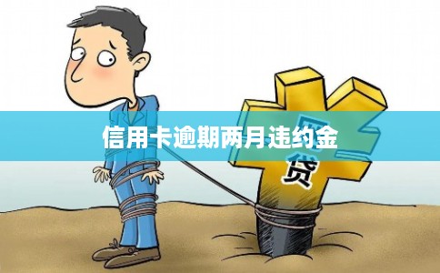 信用卡逾期两月违约金