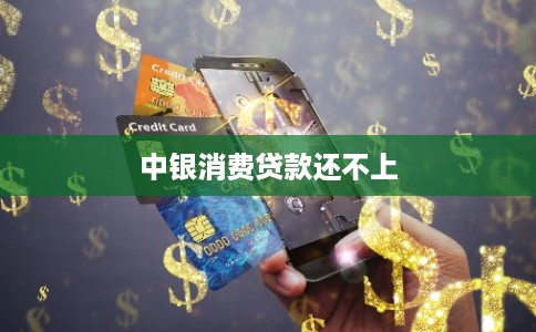 中银消费贷款还不上