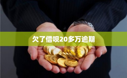 欠了借呗20多万逾期