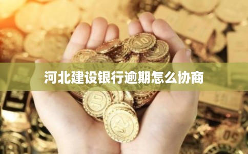 河北建设银行逾期怎么协商