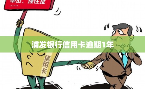 浦发银行信用卡逾期1年
