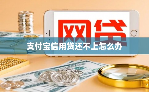 支付宝信用贷还不上怎么办