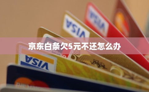 京东白条欠5元不还怎么办