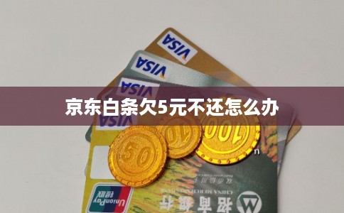 京东白条欠5元不还怎么办