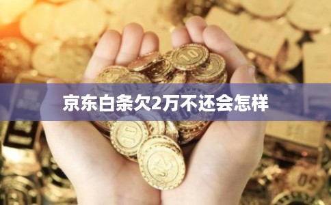 京东白条欠2万不还会怎样