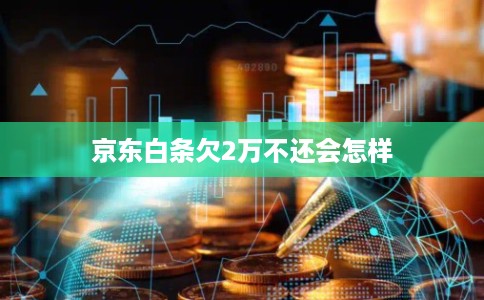京东白条欠2万不还会怎样