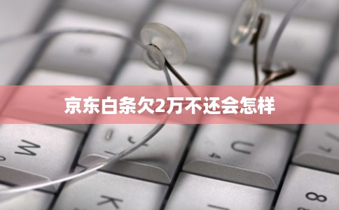 京东白条欠2万不还会怎样