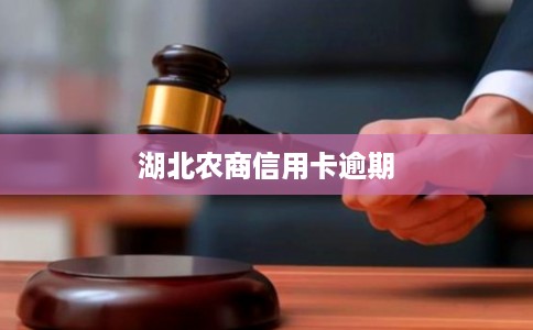 湖北农商信用卡逾期