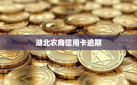 湖北农商信用卡逾期