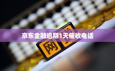 京东金融逾期1天催收电话