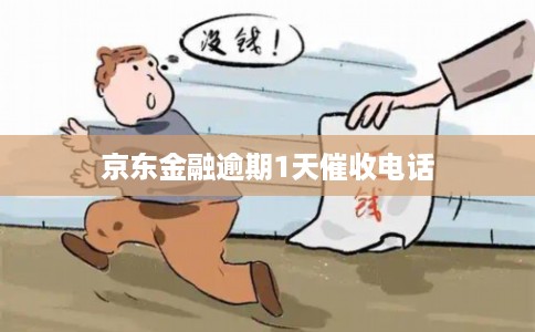京东金融逾期1天催收电话