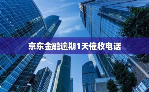 京东金融逾期1天催收电话