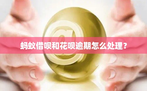 蚂蚁借呗和花呗逾期怎么处理？