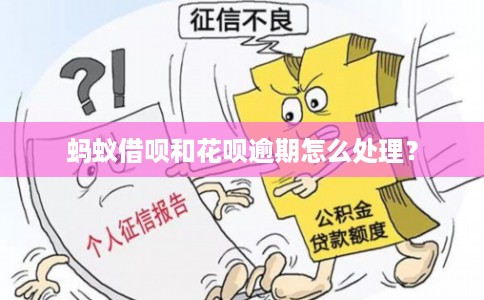 蚂蚁借呗和花呗逾期怎么处理？