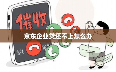 京东企业贷还不上怎么办