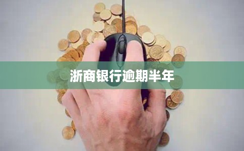 浙商银行逾期半年
