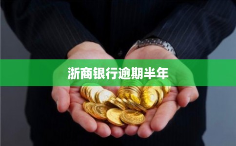 浙商银行逾期半年