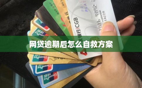 网贷逾期后怎么自救方案