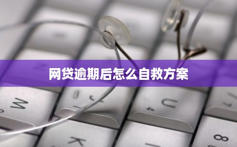 网贷逾期后怎么自救方案