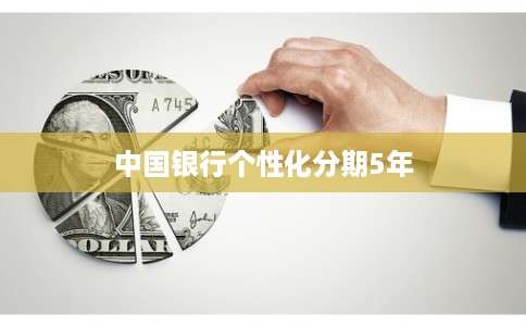 中国银行个性化分期5年