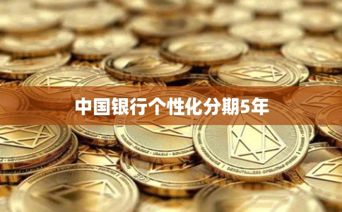 中国银行个性化分期5年